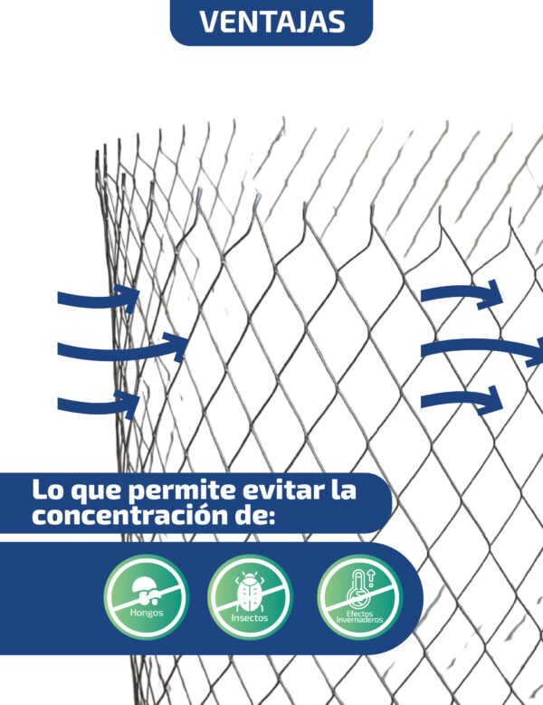 Agroprotect 60x90 - Rollo de 50 und - Imagen 2